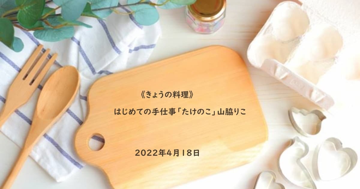 家事ヤロウ》無限白髪ネギ丼（Seria「ネギカッターねぎサッサ」使用）2022年5月17日 | Daily Cookbook