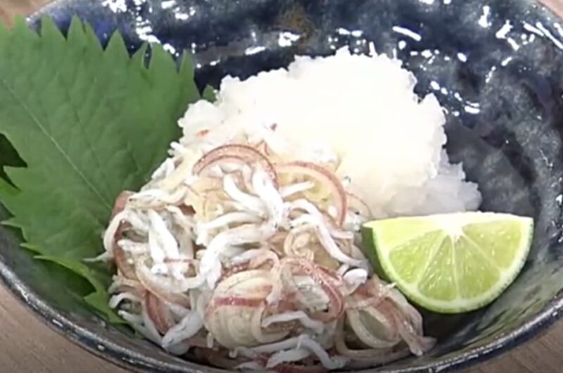 大根おろし しらすみょうが添え
